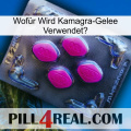 Wofür Wird Kamagra-Gelee Verwendet 02